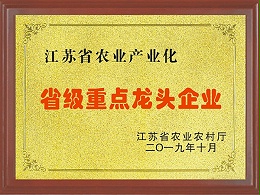 江苏省农业产业化省级重点龙头企业-龙伟食品